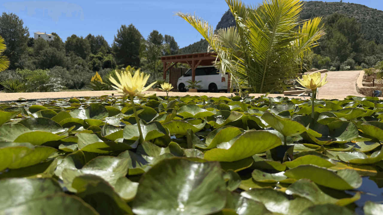 Eine Oase der Ruhe. Traumhaftes Fincaanwesen mit großem Grundstück und 100% Privatsphäre nahe Denia, Oliva, Javea.